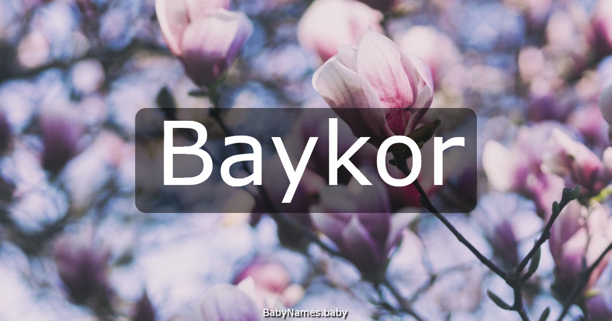 Baykor