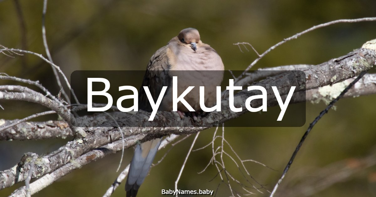 Baykutay
