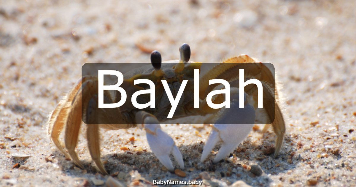 Baylah
