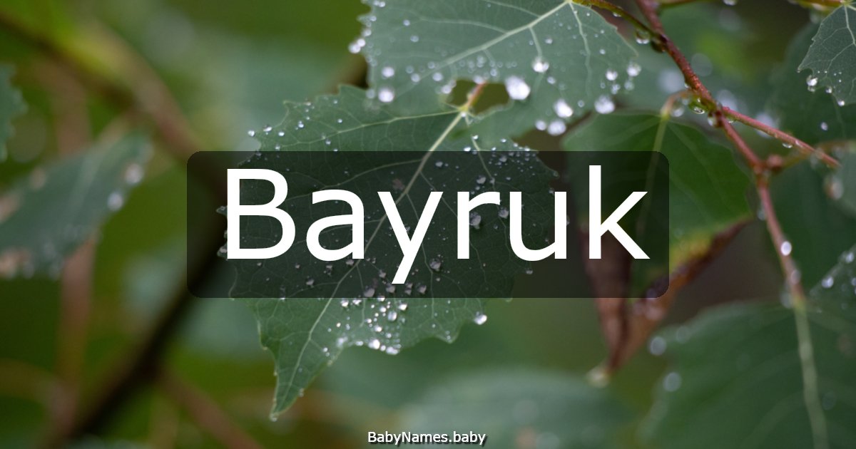 Bayruk