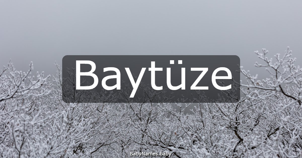 Baytüze