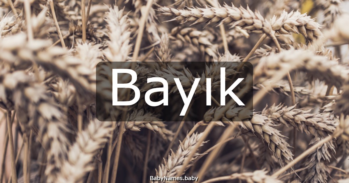 Bayık