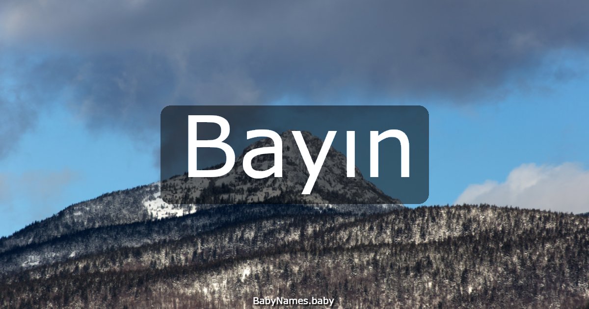 Bayın