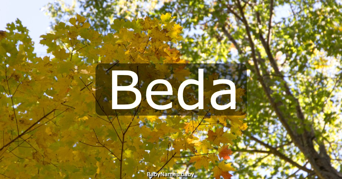 Beda