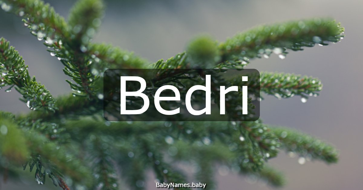 Bedri