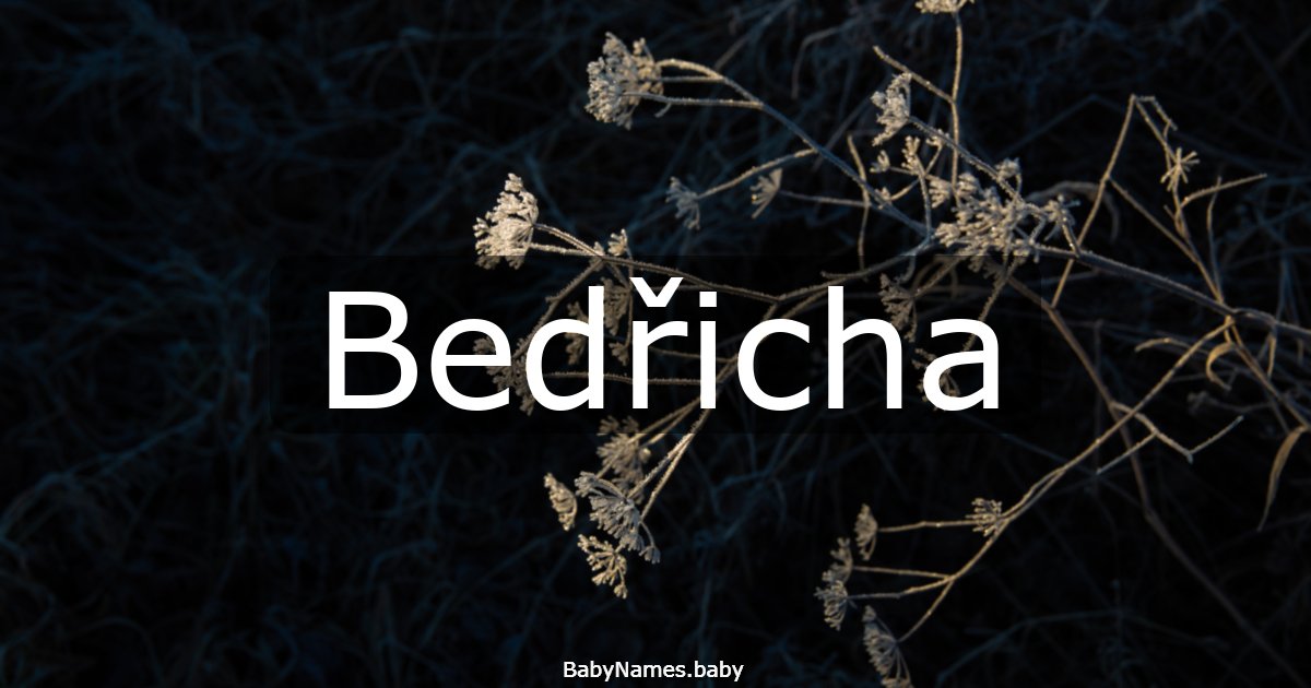 Bedřicha