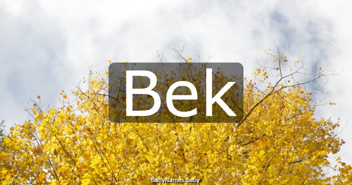 Bek