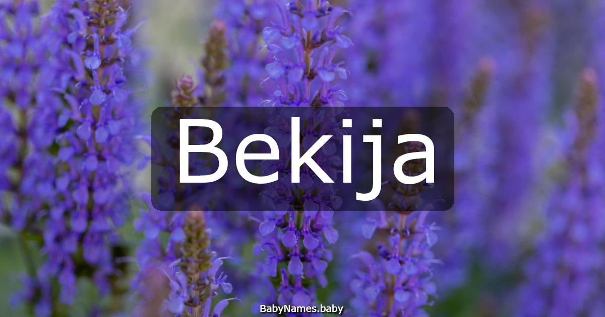 Bekija