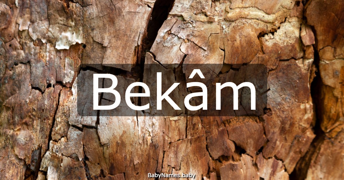 Bekâm