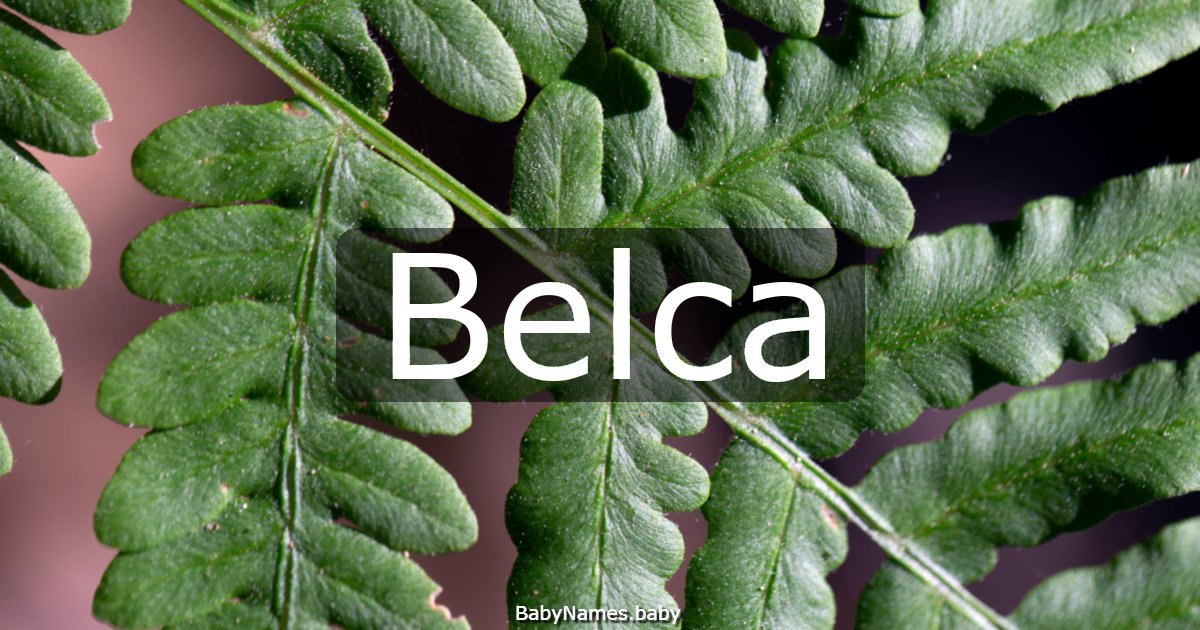 Belca