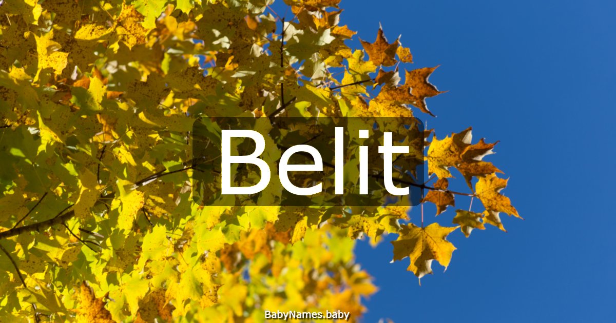Belit