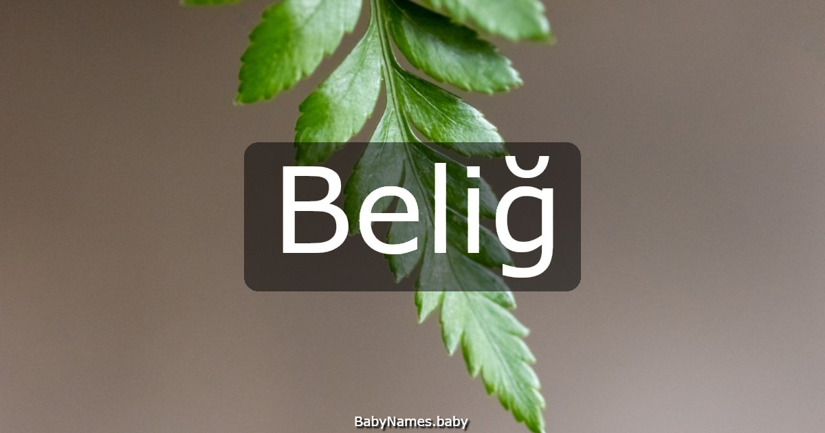 Beliğ