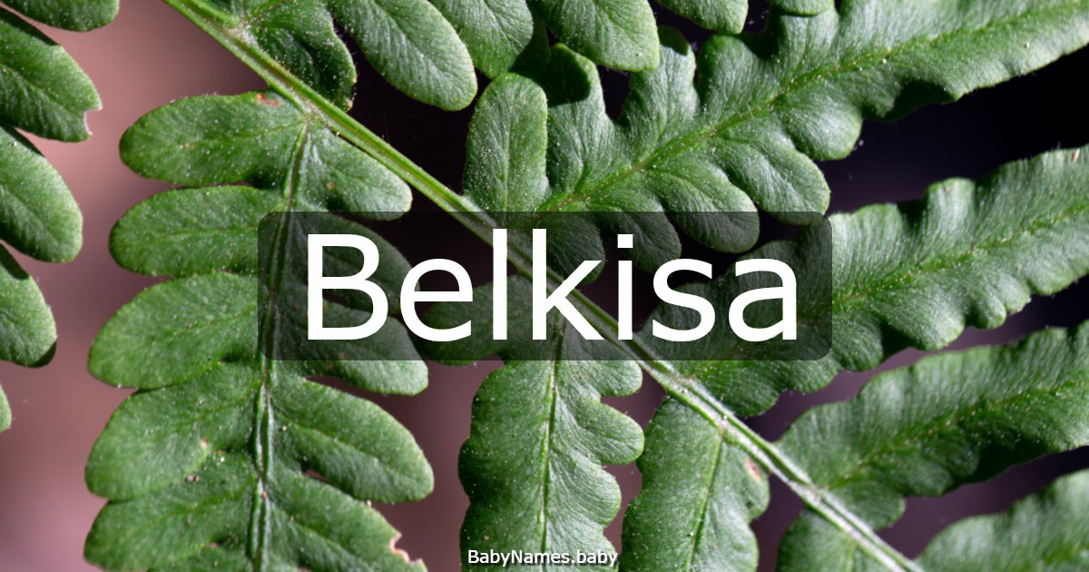 Belkisa