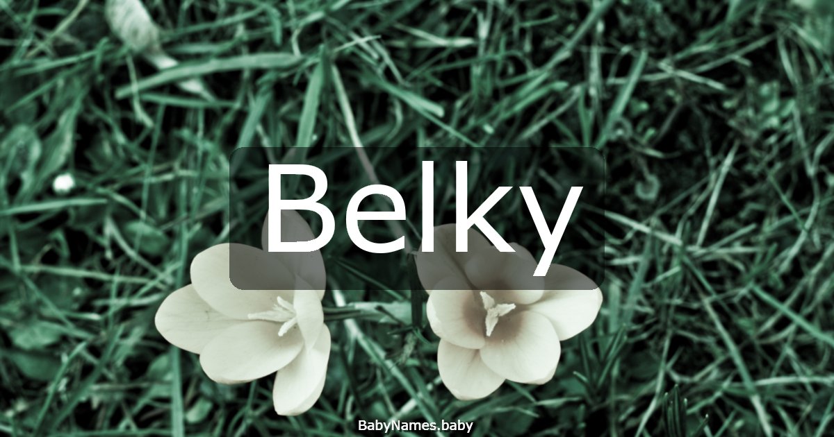 Belky