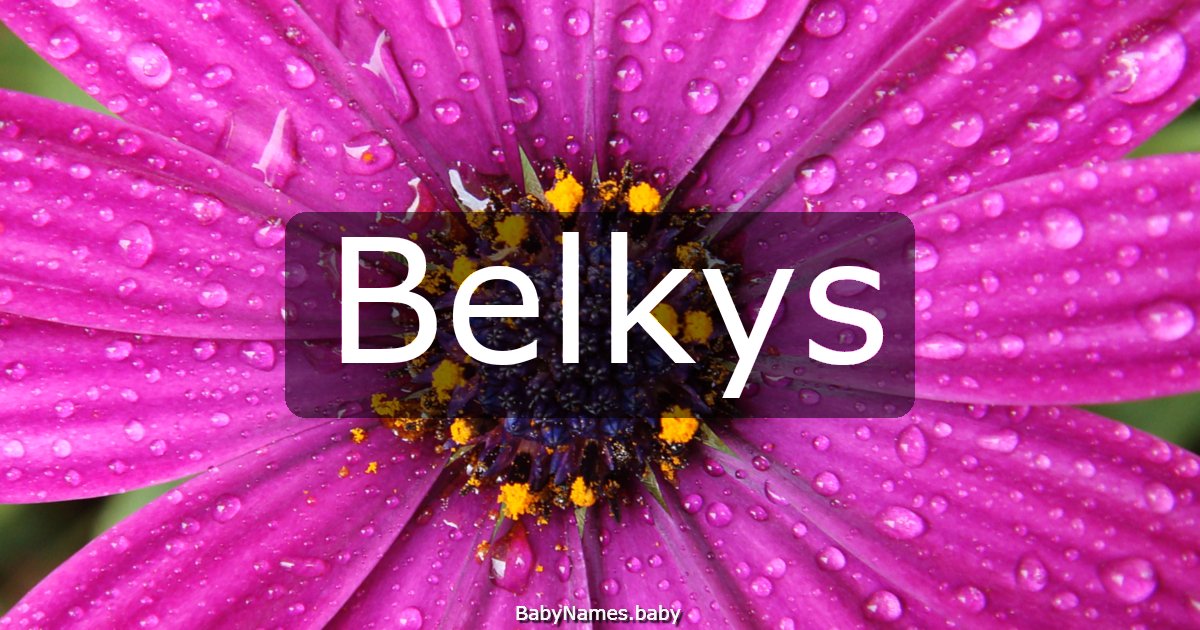 Belkys