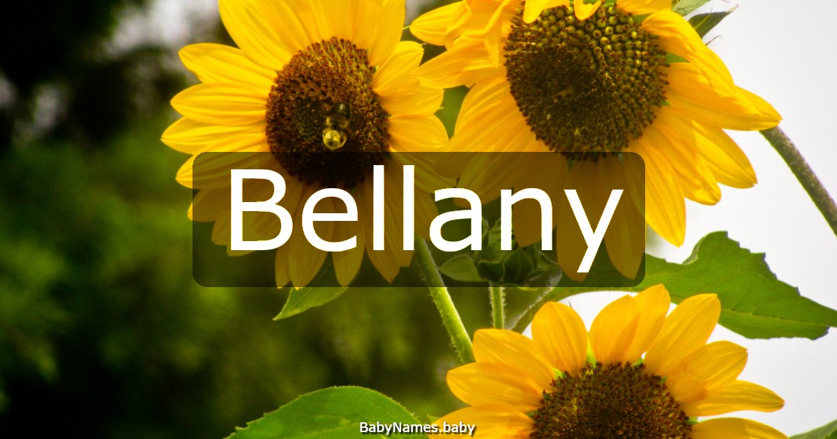 Bellany