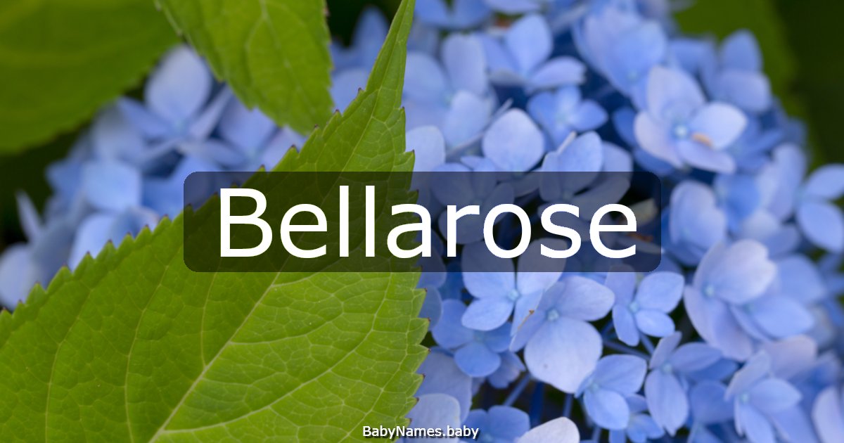 Bellarose
