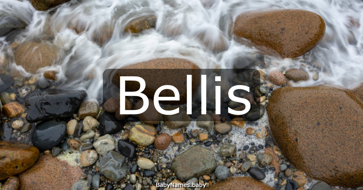 Bellis