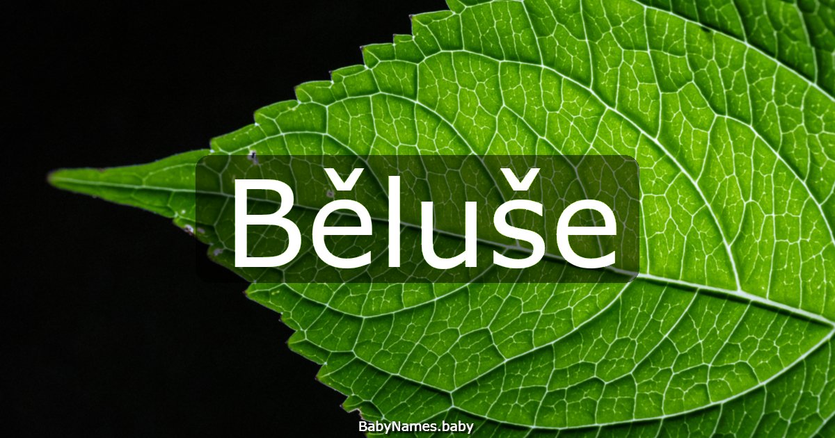 Běluše