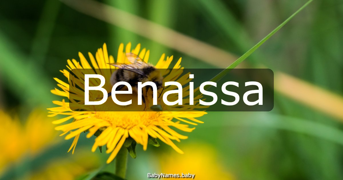 Benaissa