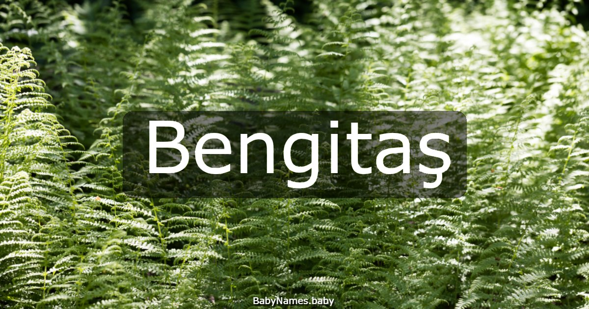 Bengitaş