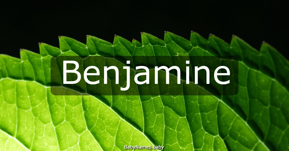 Benjamine