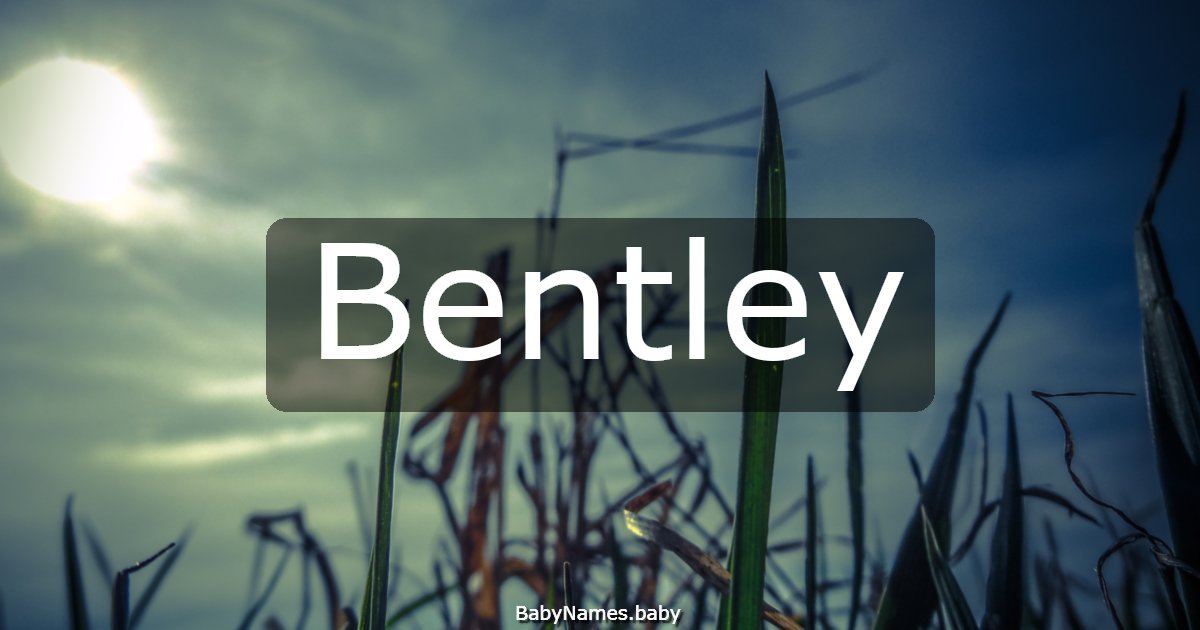 Bentley