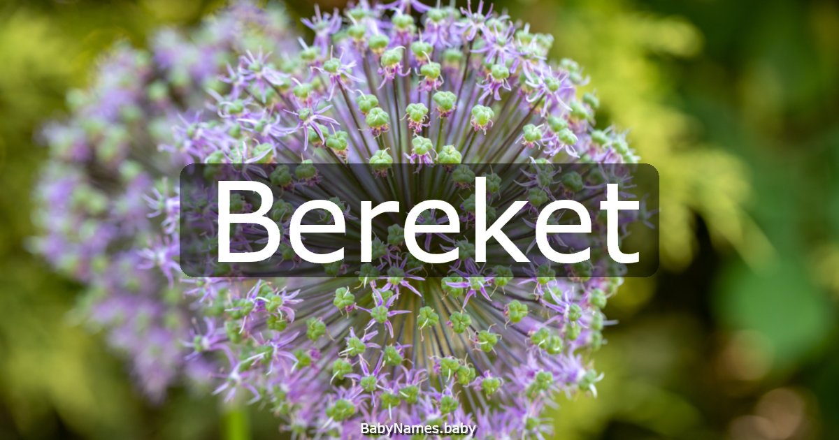 Bereket