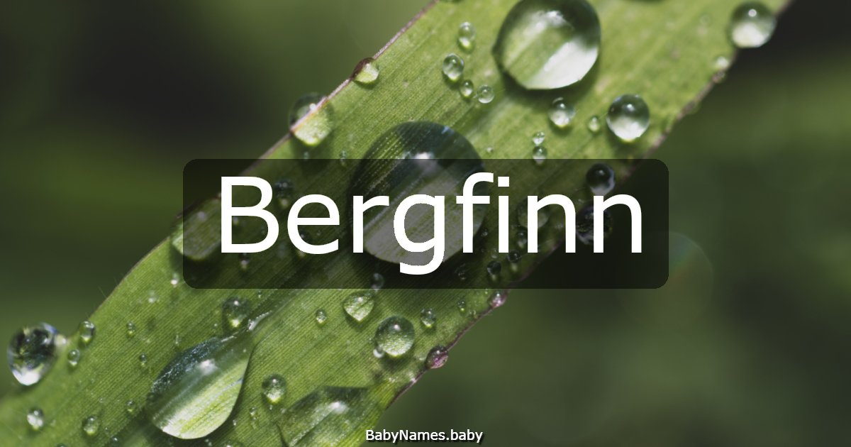 Bergfinn