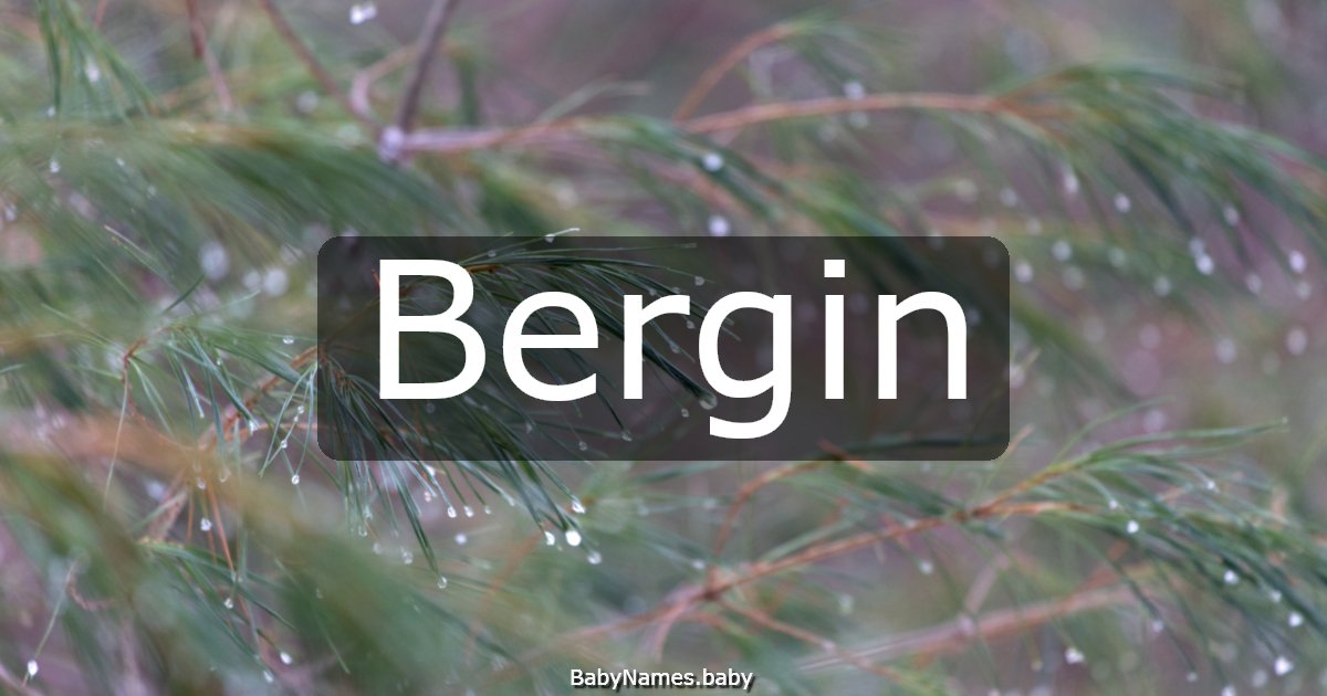 Bergin
