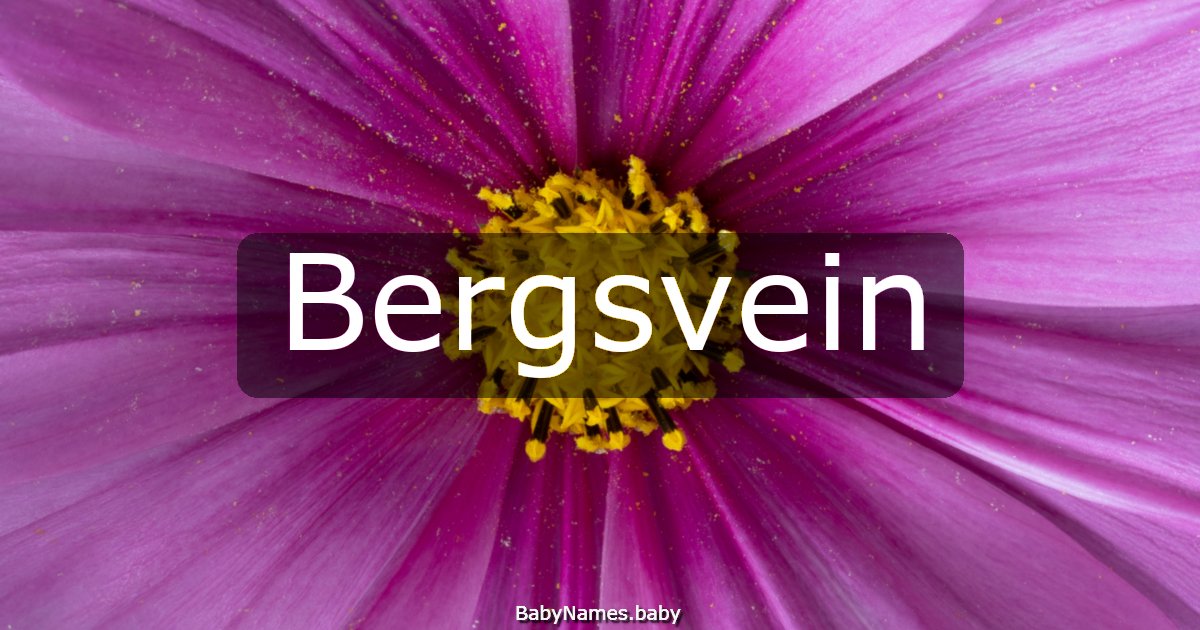 Bergsvein