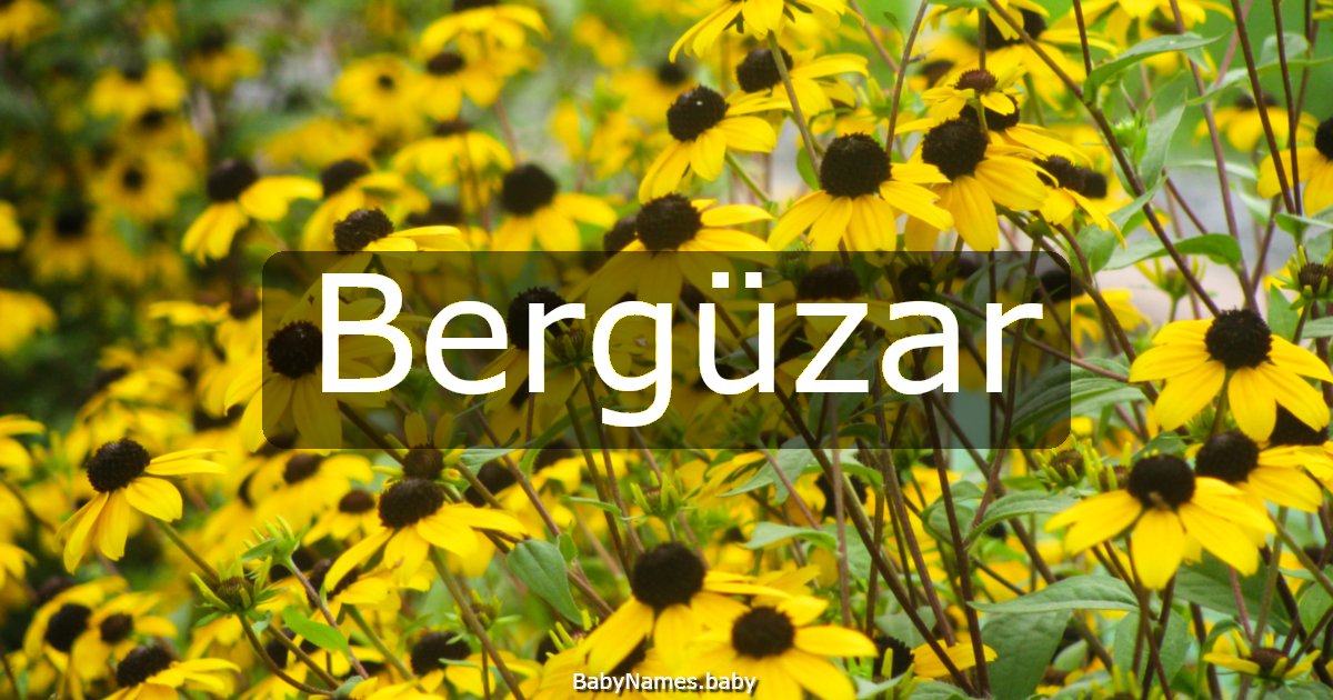 Bergüzar