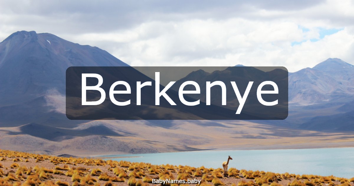 Berkenye