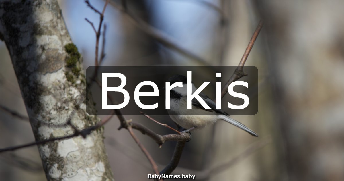 Berkis