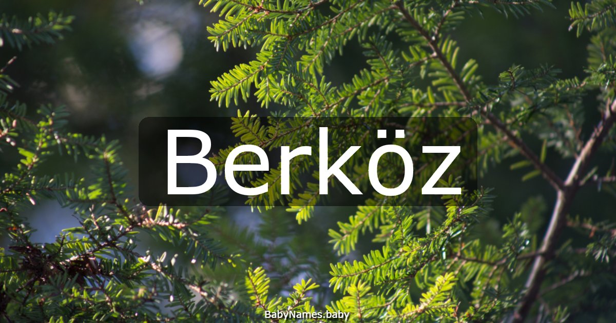 Berköz