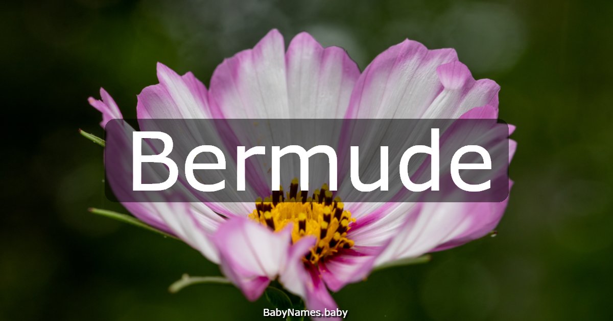 Bermude