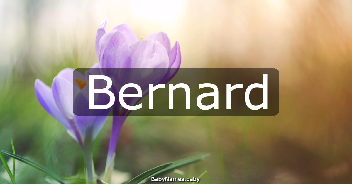 Bernard