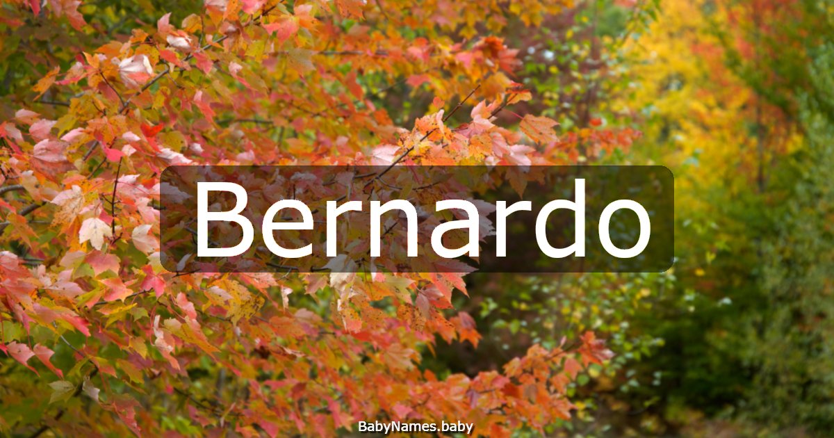 Bernardo
