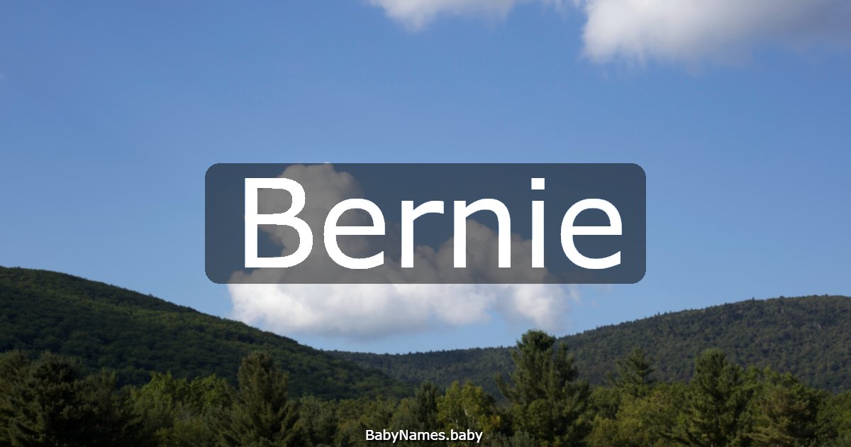 Bernie