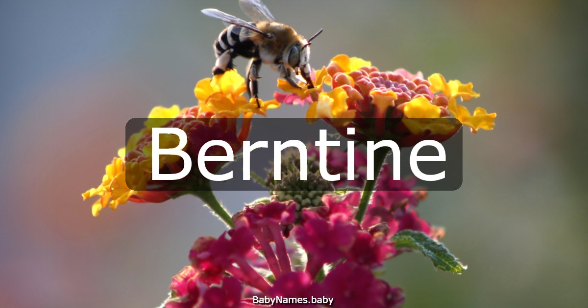 Berntine