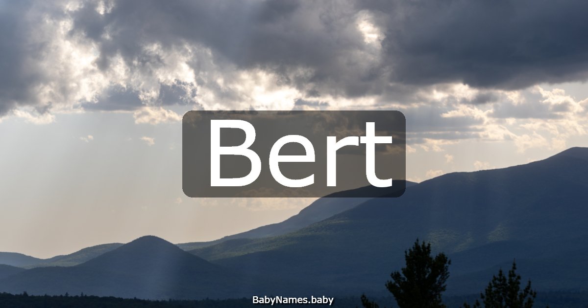Bert