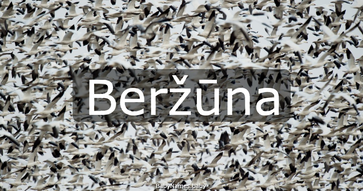 Beržūna