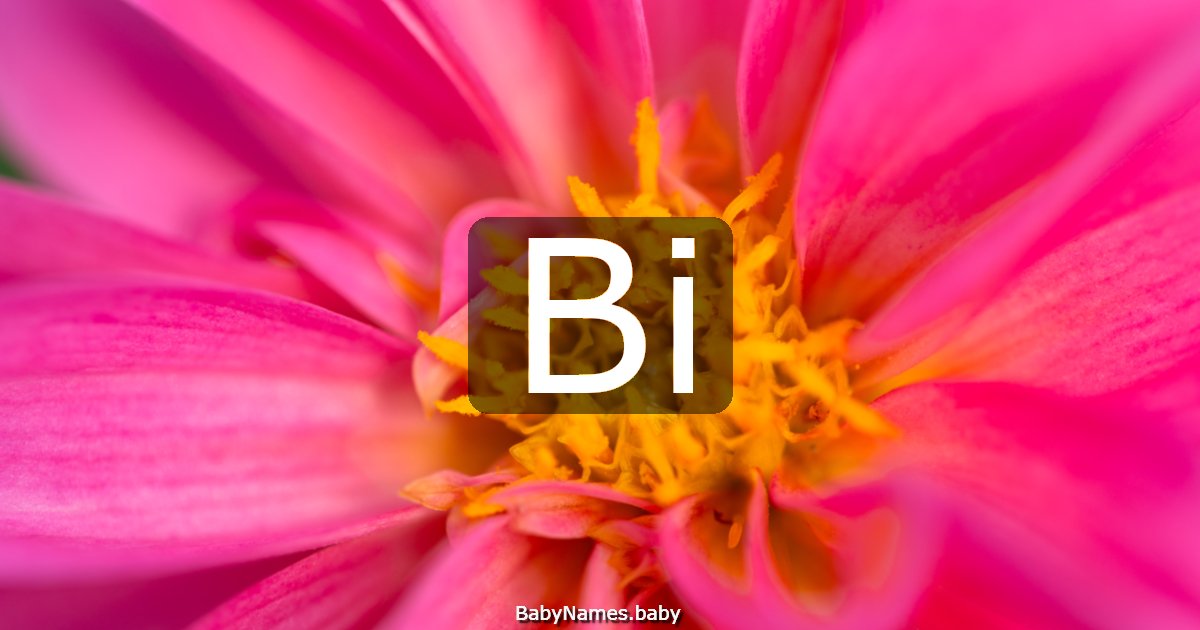 Bi