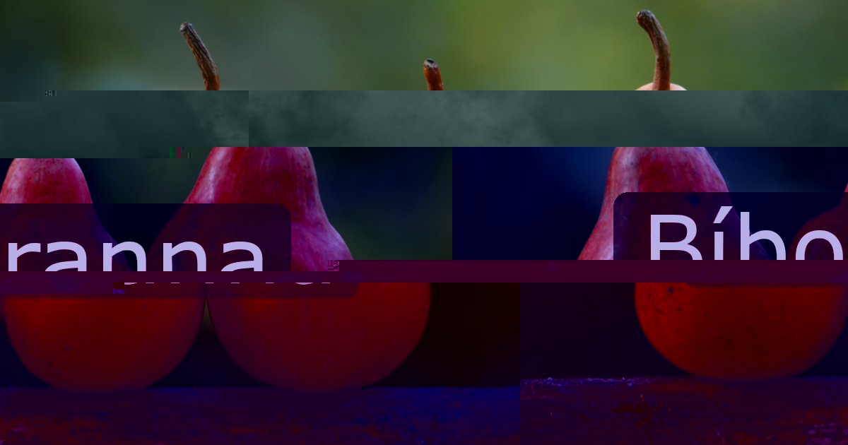 Bíboranna