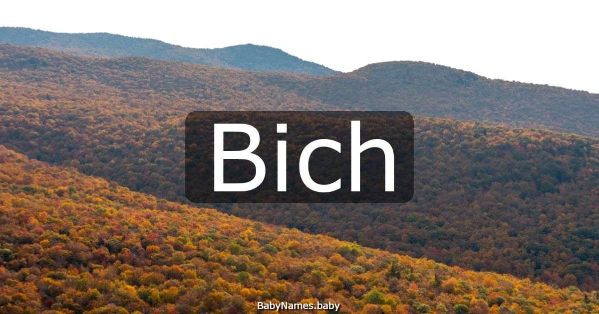 Bich