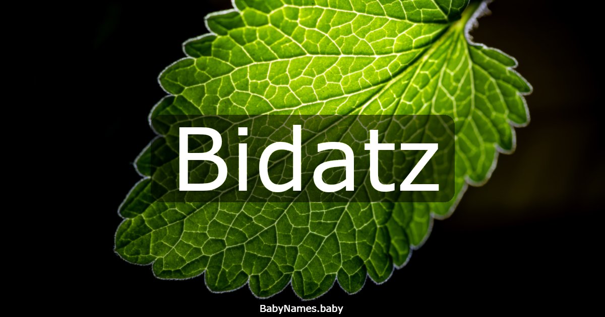 Bidatz