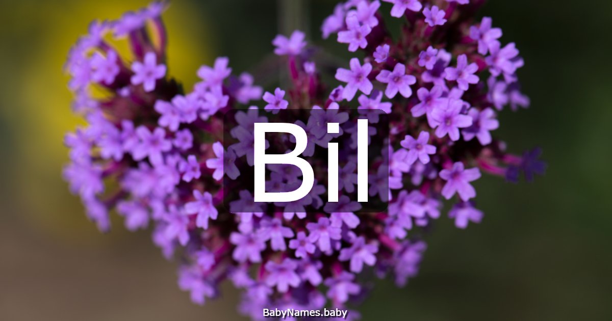 Bil