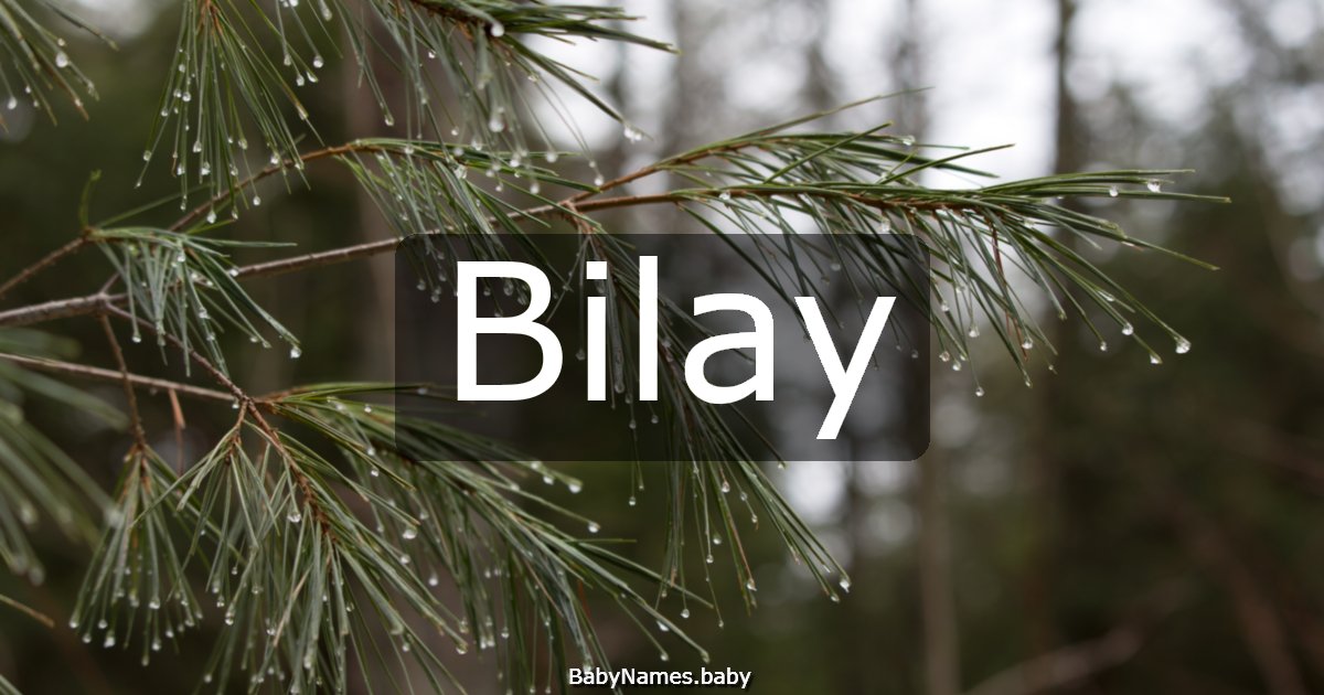 Bilay