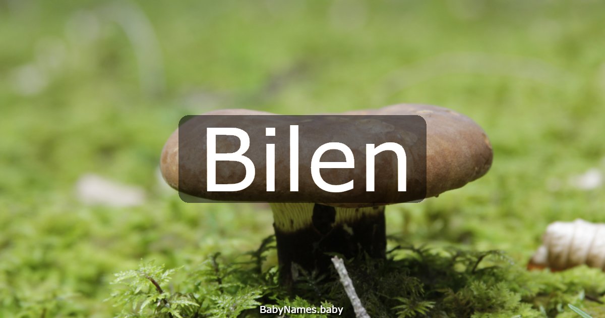 Bilen