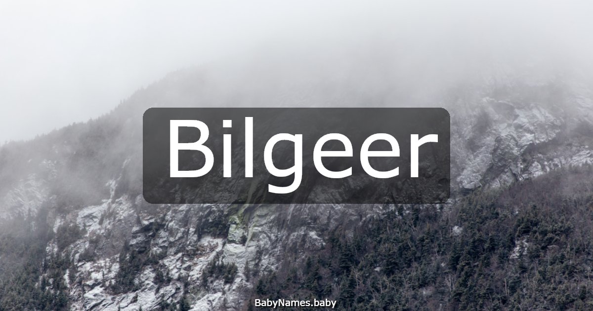 Bilgeer